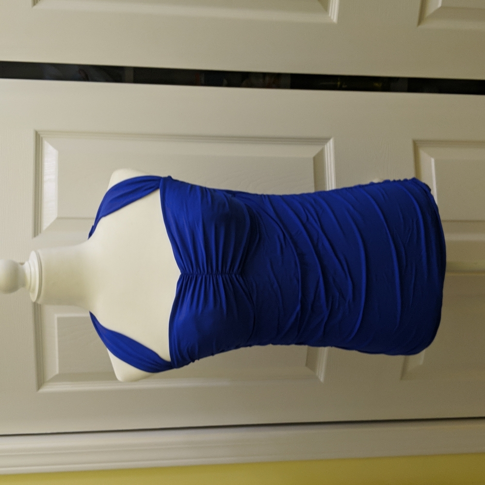 NWOT Blue Swimsuit Top